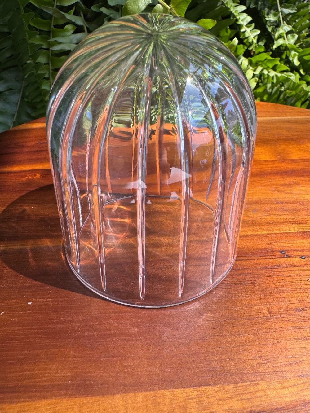 Clear Ribbed Glass Cloche, Small Mini Bell Jar Dome / Display Cover